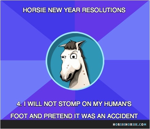 6 New Year's resolutions your horse probably won't keep! ;)