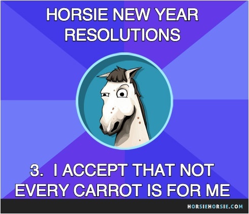 6 New Year's resolutions your horse probably won't keep! ;)