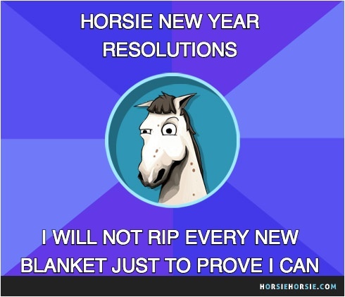 6 New Year's resolutions your horse probably won't keep! ;)