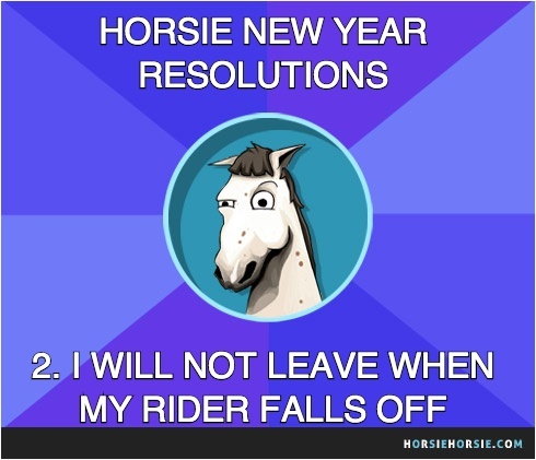 6 New Year's resolutions your horse probably won't keep! ;)