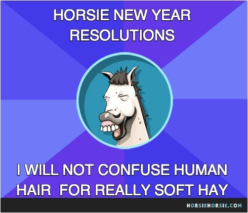 6 New Year's resolutions your horse probably won't keep! ;)