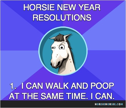 6 New Year's resolutions your horse probably won't keep! ;)