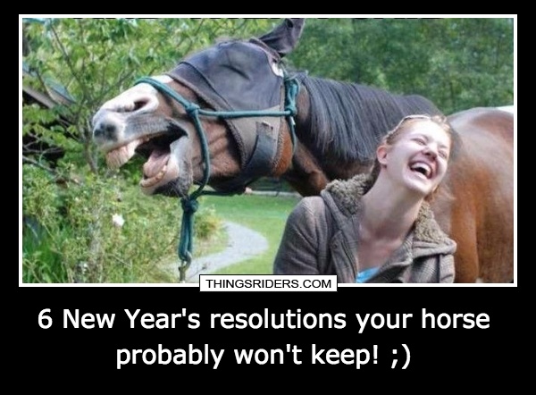 6 New Year's resolutions your horse probably won't keep! ;)