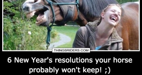 6 New Year's resolutions your horse probably won't keep! ;)